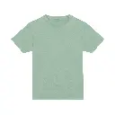 mens-everyday-cotton-tshirt-dusty-green-front-jt100.webp