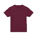 mens-everyday-cotton-tshirt-burgundy-front-jt100.webp