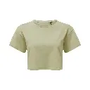 womens-cropped-tshirt-sage-green-front-TR019.webp